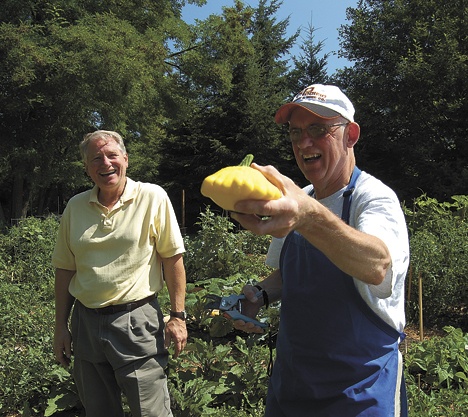 Dennis Wajda and Mike Hardy harvest another load of fresh fruits and vegetables to donate to the Issaquah Food Bank.