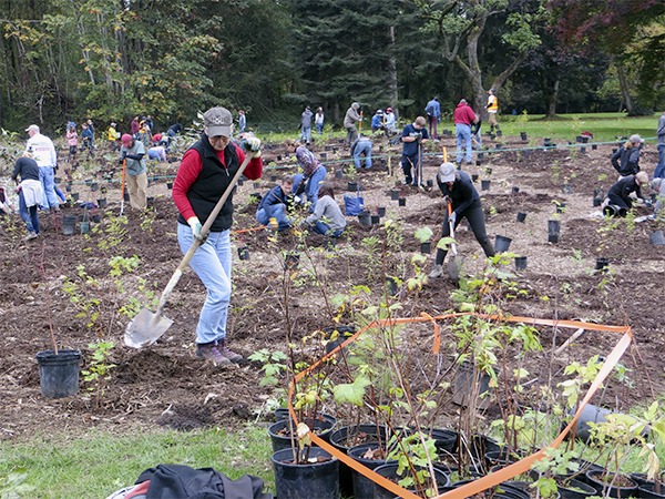 Hundreds of volunteers showed up for an all-day work party at Confluence Park