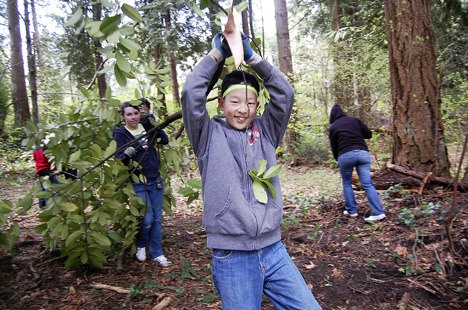 Mountains to Sound Greenway is hosting a series of volunteer events in and around Issaquah over the next few months