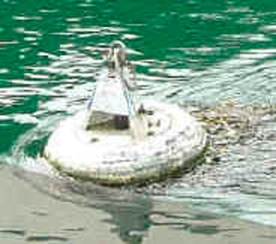 A typical mooring buoy