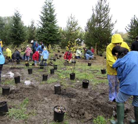 This event kicked off the Mountains to Sound Greenway Trust’s tree planting season