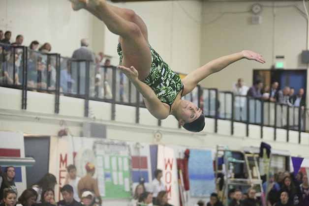 Skyline diver Erin Taylor is the top-seed headed into the 4A state meet this weekend.
