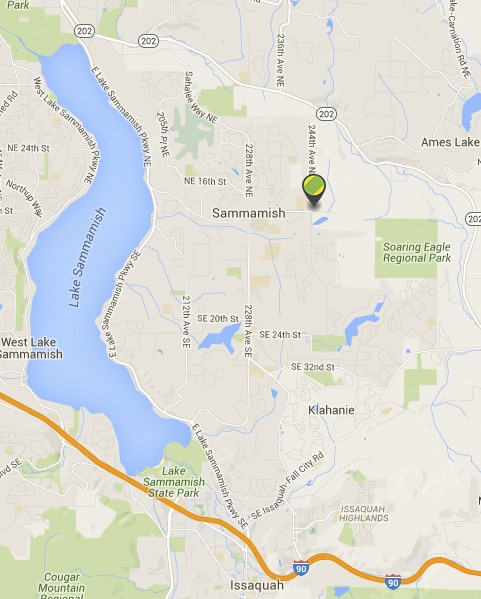 Nearly 490 customers near Northeast Eighth Street and 244th Avenue Northeast in Sammamish lost power around 8:45 a.m. with an estimated restoration time of 11 a.m.