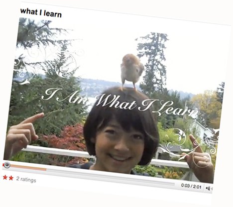 Lederman’s chicken interest in no flight(less) of fancy. She is seriously schooled when it comes to the science of these friendly fowl.