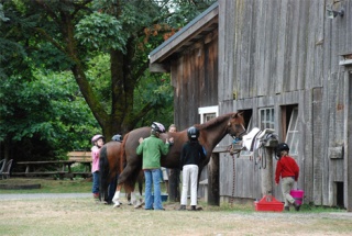 Red Gate Farm offers young people the chance to develop confidence riding in a safe and supportive environment.