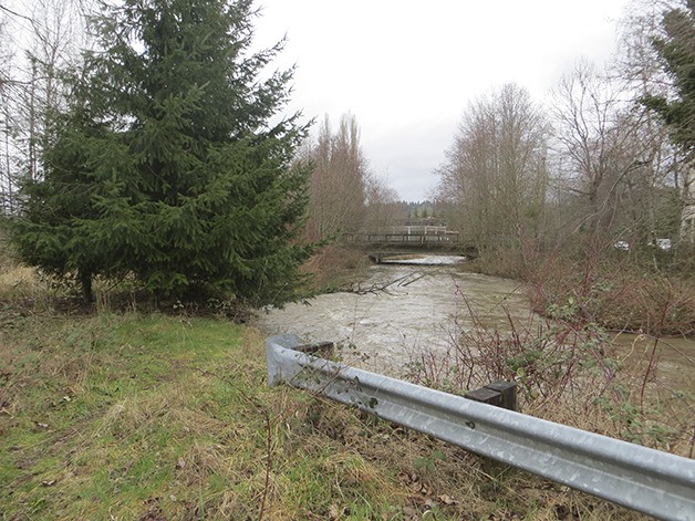 Issaquah Creek makes a tricky bend along the east side of the property