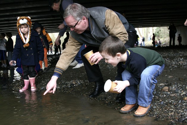 Jerry and his grandson Dylan Pearson release Coho salmon fry into the Issaquah Creek