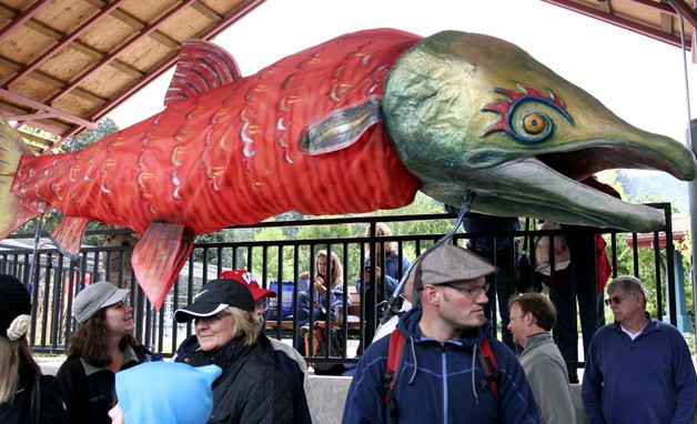 A paper salmon floats over a crowd gathered to see the fish swim up stream to the holding tank the Issaquah Salmon Hatchery. The hatchery is the focus at Salmon Days