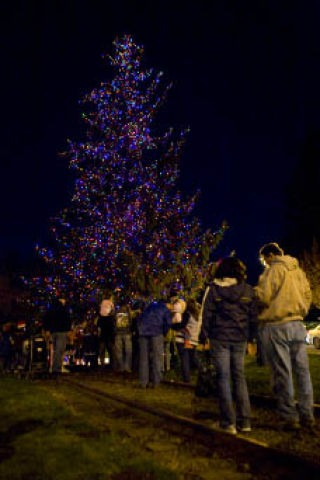 Community members admire the Christmas tree during the gathering in downtown Issaquah on Saturday. The tree is at the intersection of Front and N.E. Dogwood streets. To see more photos