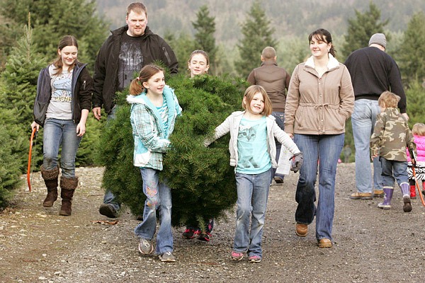 A family cuts down their Christmas tree and carries it to their car at Trinity Tree Farm.