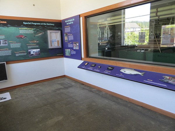 The new aquarium will be viewed through the glass in this observation area.