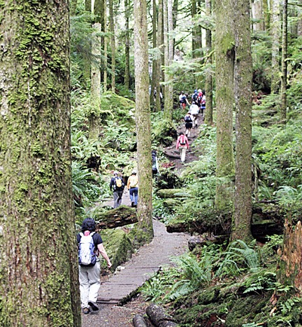 Going on a free guided hike with The Issaquah Alps Trails Club is a great way to discover the natural wonders of the Eastside.