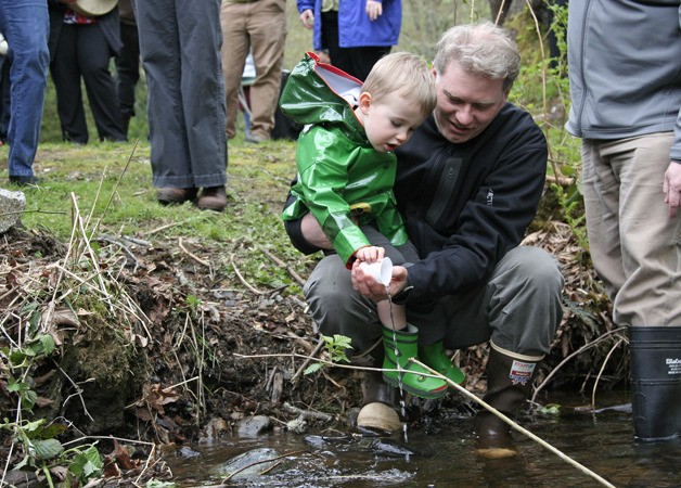 Dan Lantz and his son River release a Kokanee Fry into Laughing Jacobs Creek in Issaquah.