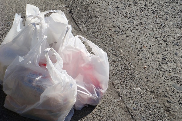 Issaquah could decide as early as Monday if it will impose a plastic bag ban.