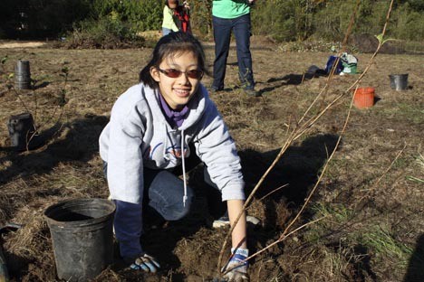 Jessica Ma finishes planting a tree