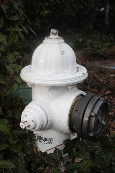 An Issaquah fire hydrant.