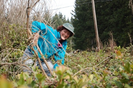 Tree Farm resident Elaine McEnery was one of a group of locals who removed the invasive Scotch Broom and blackberry from a section of Beaver Lake Park on Saturday morning.