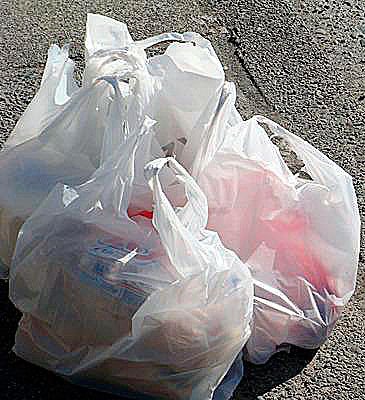 The ban on plastic bags in Issaquah will go before voters.