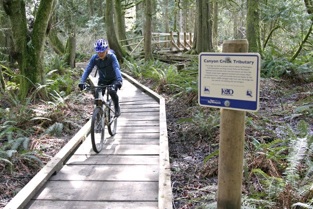 The completed Grand Ridge Trail now connects hikers
