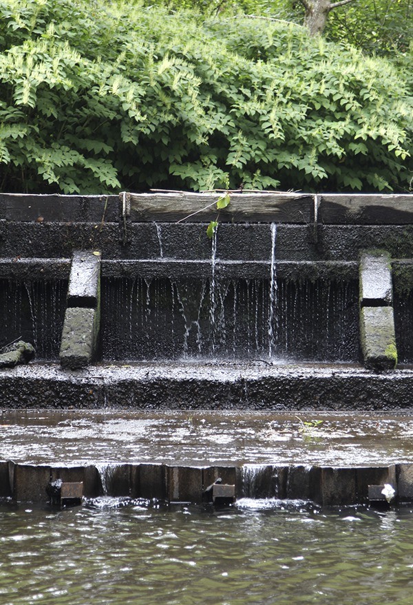 A cement shelf built to help salmon leap over the falls is being replaced by a series of rock weirs.