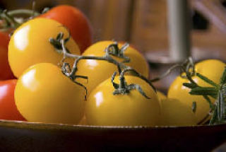 Tomatoes are an easy choice for an enterprising gardener.