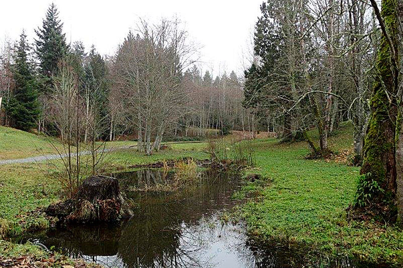 Pigott donates 20-acre parcel at Big Rock Park to city of Sammamish