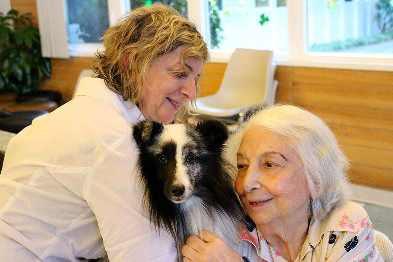 Talented dog provides comfort, therapy to local patients Issaquah Reporter