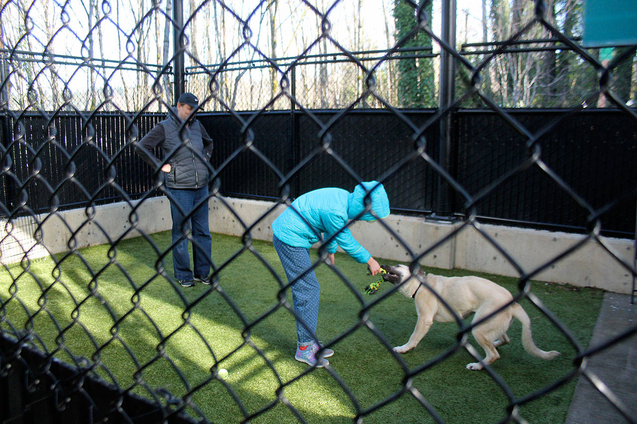 Seattle Humane’s new facility houses more animals, cleaner environment