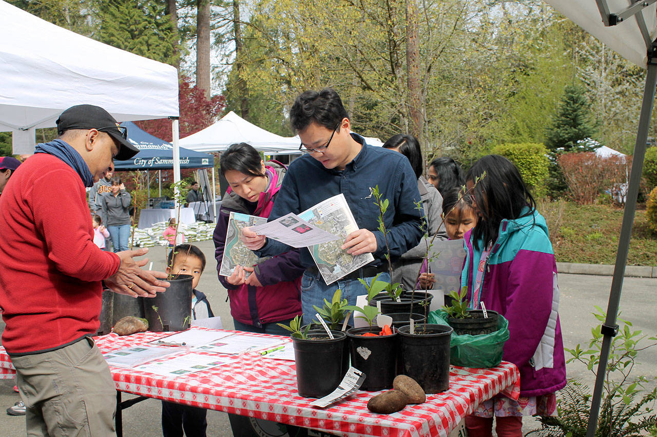 A Sammamish family learns about the necessary steps to plant and care for a tree. Courtesy Photo