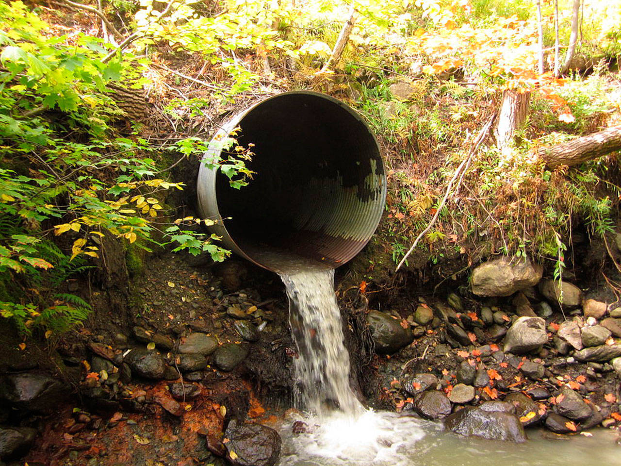 An example of a fish culvert that prevents fish from migrating through it. Creative commons