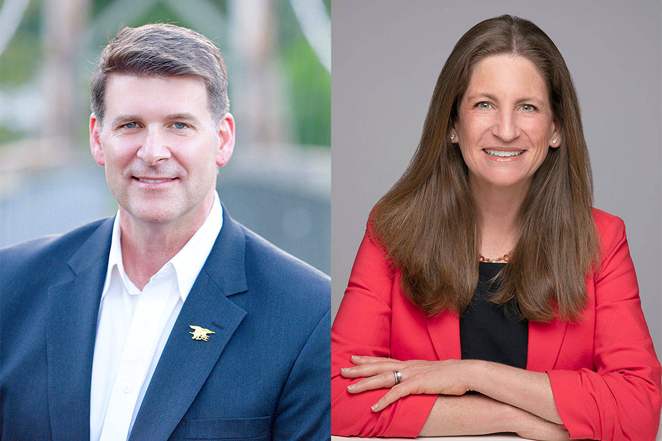 41st District candidates talk taxes, housing, and gun safety