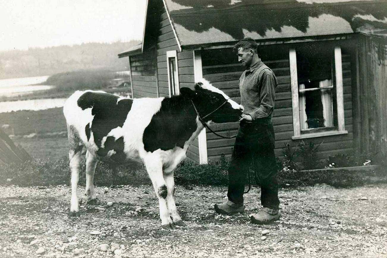 Issaquah History Museums upload more than 10,000 artifacts to their online archive