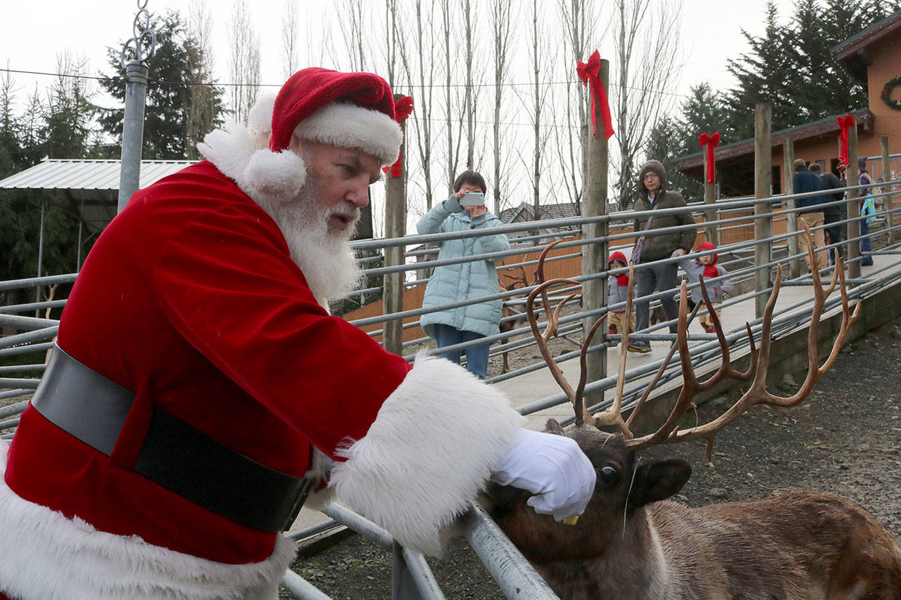 31st annual Reindeer Festival returns to Cougar Mountain Zoo
