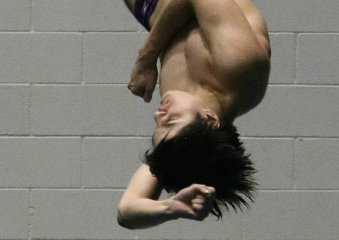 Gref nails second-place diving finish at state