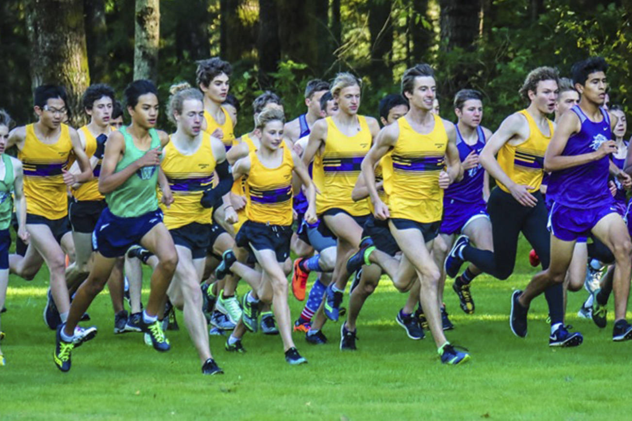 Issaquah cross country coming together as a team