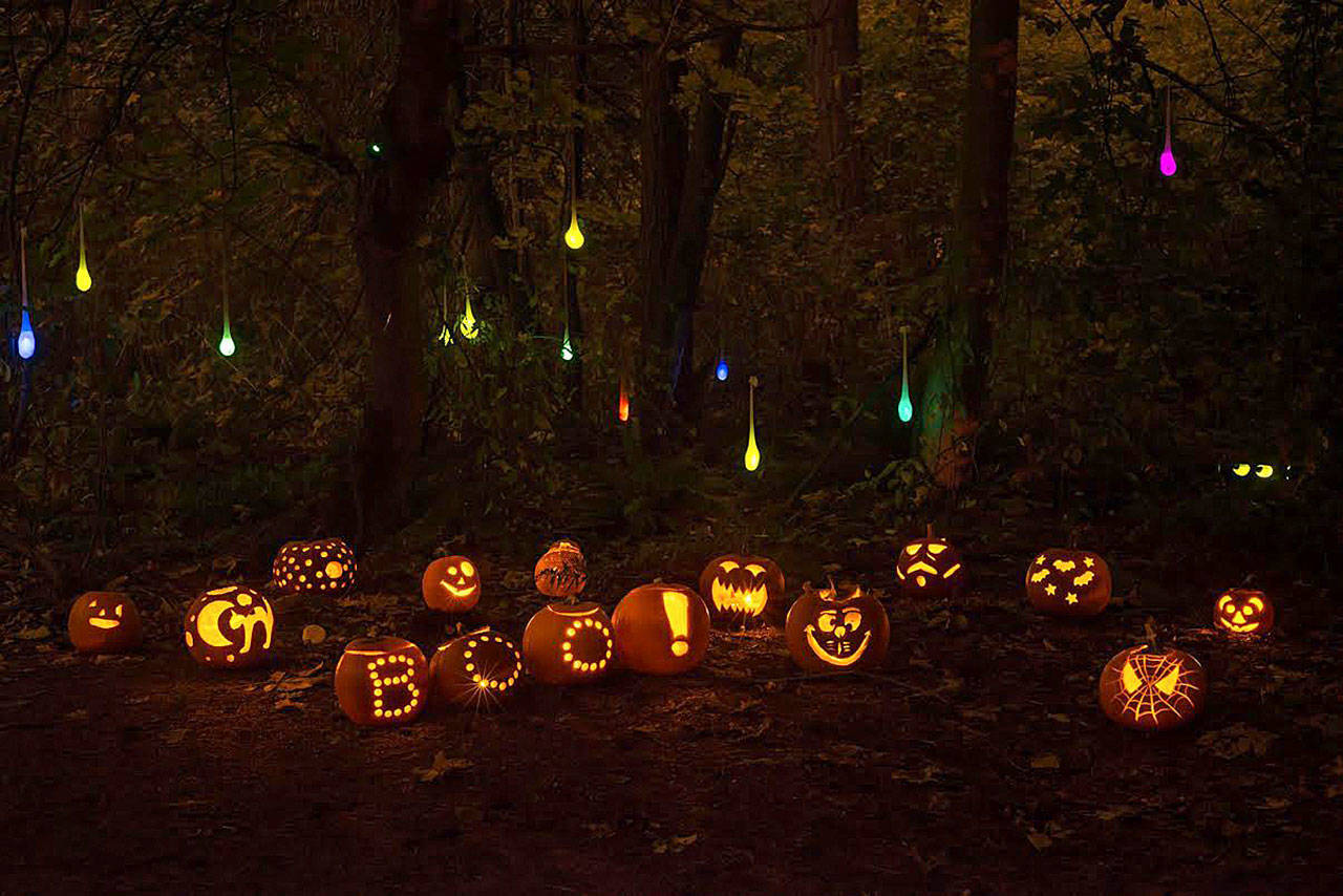 The Island’s third Pumpkin Walk is set for Oct. 27 at Luther Burbank Park. Photo courtesy of Amanda Colburn