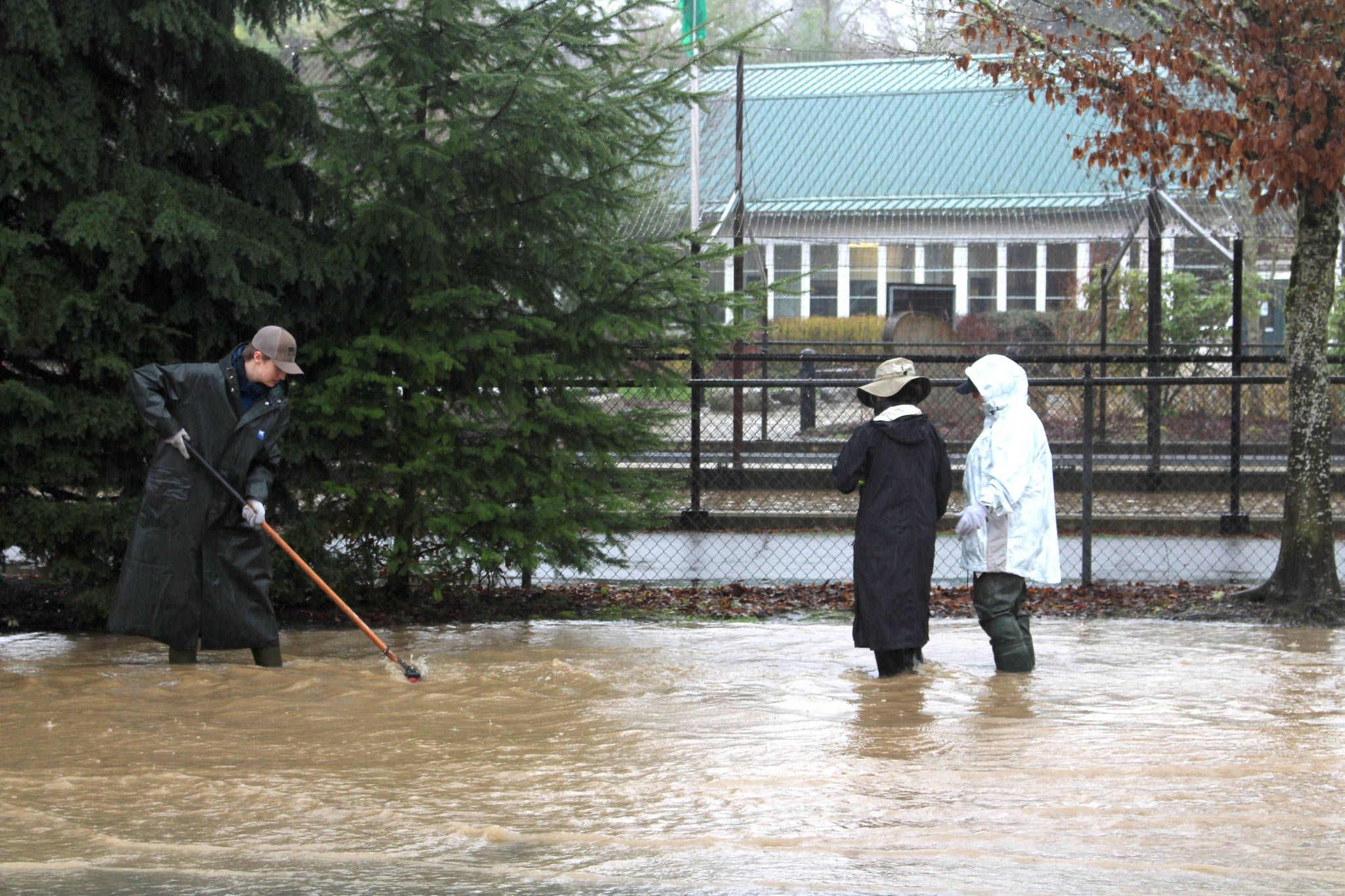 Mitchell Atencio/Staff Photo                                Theo Koshar, Janet McIntosh and Robin Kelley of the Issaquah Salmon Hatchery work to find road drains and clear them of leaves outside the Issaquah Salmon Hatchery in Issaquah on Feb. 6, 2020.