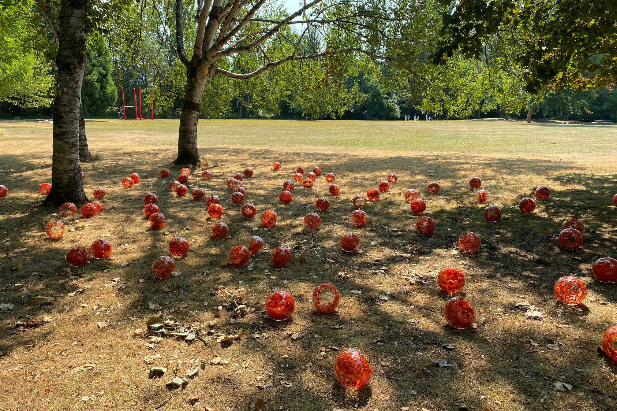 Art In The Park installation (courtesy of Friends of Lake Sammamish State Park)