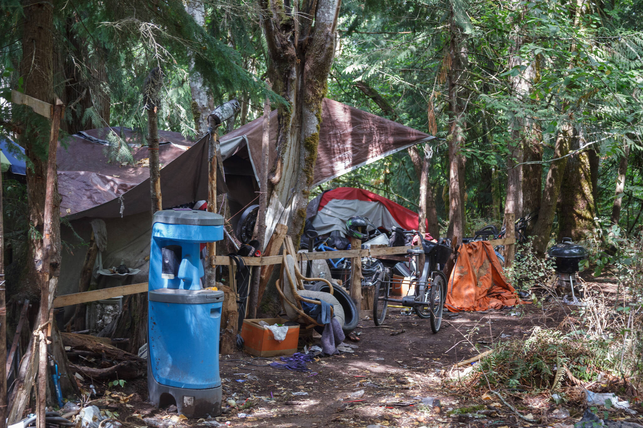 Homeless encampment in a wooded area in Auburn. (Sound Publishing file photo)