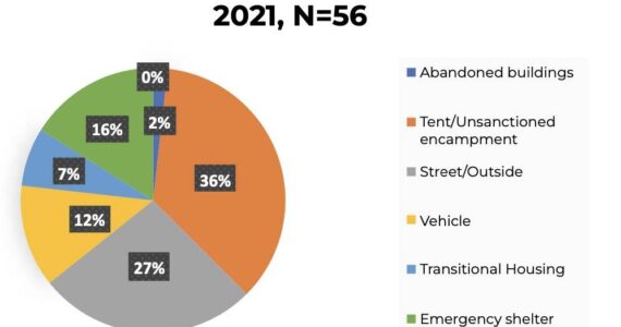 Pie chart shows the homeless outreach from Issaquah’s 2022 Human Services Strategic Plan. (Screenshot)