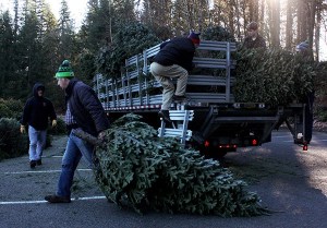 Boy Scouts of America