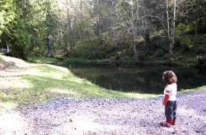 Conserved as a community park