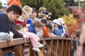 A crowd enjoys watching the salmon from the bridge near the hatchery duringthe 2007 Salmon Days Festival