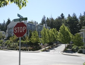 The intersection at NE Park Drive and 15th Avenue NE is quiet the day after a car and pedestrian accident on Sunday evening.