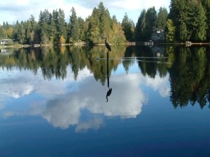 Beaver Lake