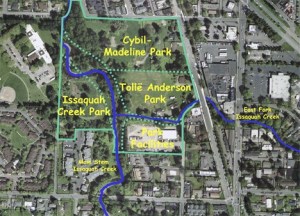 The Issaquah Creek Confluence Park Area will connect 15 acres of green space