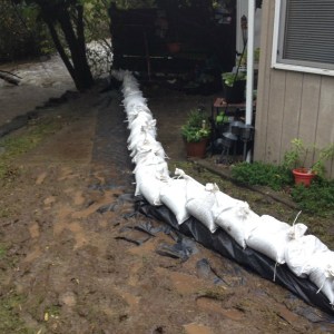 Sandbags along Issaquah Creek at Northwest Dogwood Street.