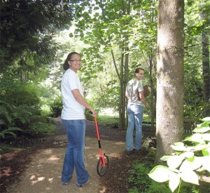 Issaquah High School student Sarah Morsi has devoted her time to helping the non-profit Bellevue Bontanical Garden