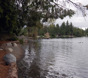 'There has been a lot of heated testimony