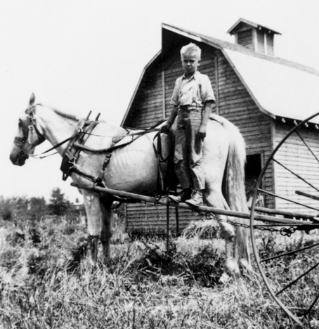 This photo was taken on the Sammamish Plateau